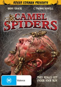 Camel Spiders